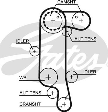 GATES-SEA T1073 - Zobsiksna www.autospares.lv