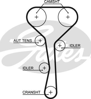 GATES-SEA T1284 - Timing Belt www.autospares.lv