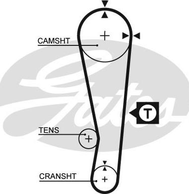 GATES-SEA T123 - Zobsiksna www.autospares.lv