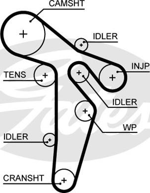 GATES-SEA T342 - Timing Belt www.autospares.lv