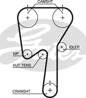 GATES-SEA T311 - Зубчатый ремень ГРМ www.autospares.lv