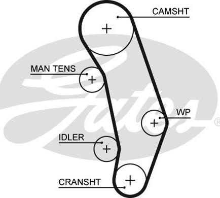 GATES-SEA T765 - Зубчатый ремень ГРМ www.autospares.lv