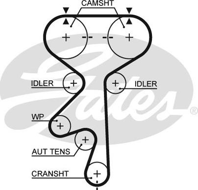 GATES-SEA T774 - Timing Belt www.autospares.lv