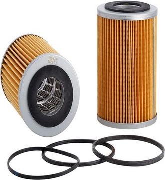 GCG Turbos Australia RY-R243P - Oil Filter www.autospares.lv