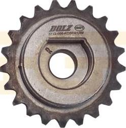 GGT PCKD142 - Chain Sprocket www.autospares.lv