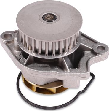 GK 980137 - Water Pump www.autospares.lv