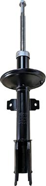 GOOM F210G0675 - Shock Absorber www.autospares.lv