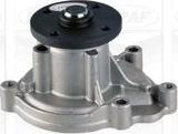 Graf PA1179 - Water Pump www.autospares.lv