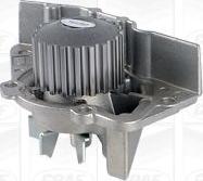 Graf PA1254 - Water Pump www.autospares.lv