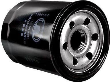 Great Wall 1017100-EG01 - Oil Filter www.autospares.lv