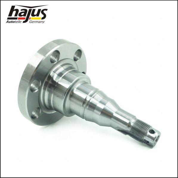 hajus Autoteile 4071066 - Ass pulka, Tilta sija autospares.lv