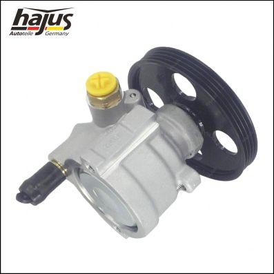 hajus Autoteile 4221048 - Hidrosūknis, Stūres iekārta www.autospares.lv