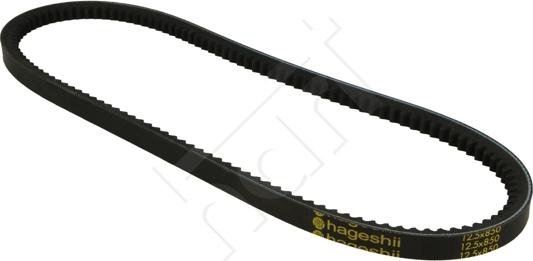 Hart 305 711 - V-Belt www.autospares.lv