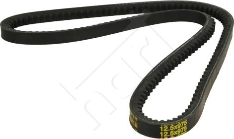 Hart 331 661 - V-Belt www.autospares.lv