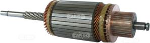 HC-Cargo 130119 - Enkurs, Starteris www.autospares.lv