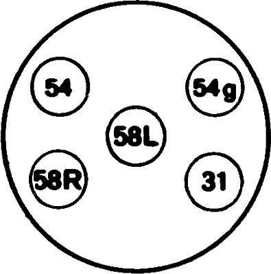 HELLA 8JB 001 940-001 - Kontaktligzda www.autospares.lv