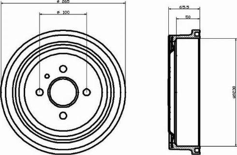 HELLA PAGID 8DT 355 301-201 - Bremžu trumulis www.autospares.lv