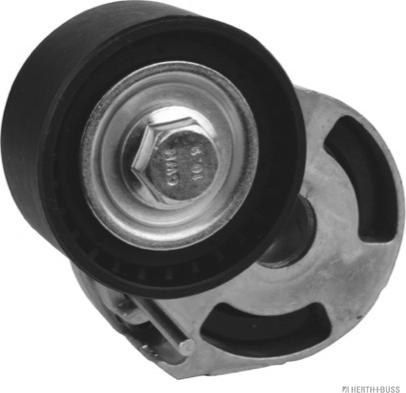 Herth+Buss Jakoparts J1143070 - Ролик, поликлиновый ремень www.autospares.lv