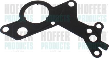 Hoffer 91255 - Blīve, Vakuumsūknis www.autospares.lv