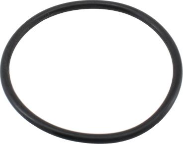 Hoffer 01663 - Blīve, Termostats www.autospares.lv