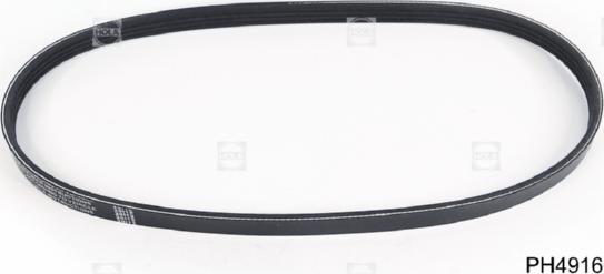 Hola PH4916 - V-Ribbed Belt www.autospares.lv