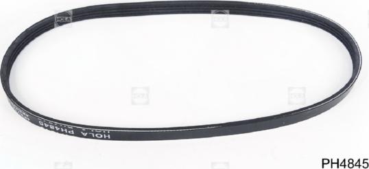 Hola PH4845 - V-Ribbed Belt www.autospares.lv