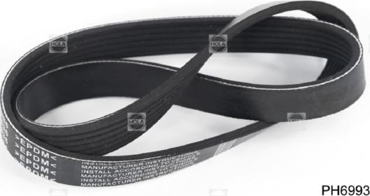 Hola PH6993 - V-Ribbed Belt www.autospares.lv