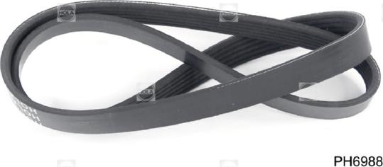 Hola PH6988 - V-Ribbed Belt www.autospares.lv