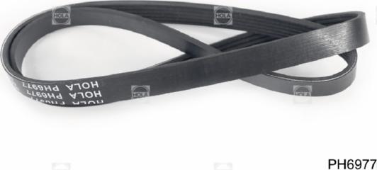 Hola PH6977 - V-Ribbed Belt www.autospares.lv