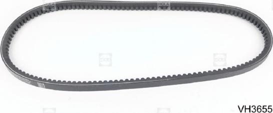 Hola VH3655 - V-Belt www.autospares.lv