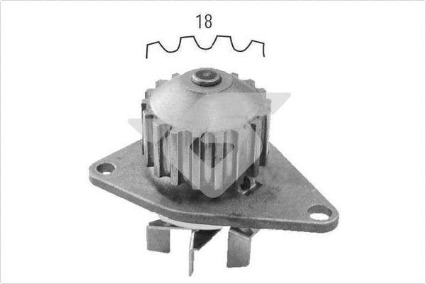 Hutchinson WP0048V - Ūdenssūknis autospares.lv