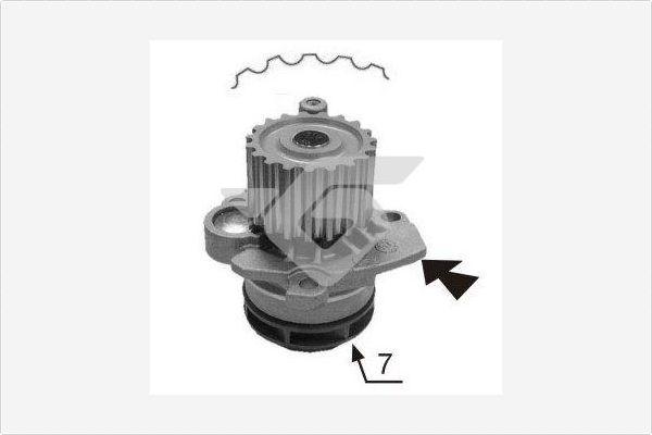 Hutchinson WP0067V - Ūdenssūknis www.autospares.lv