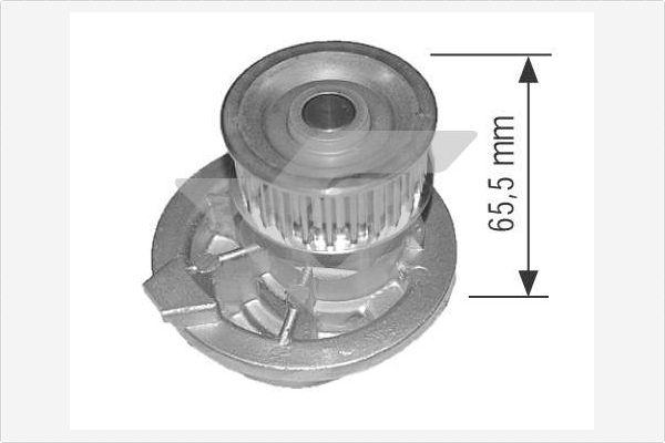 Hutchinson WP0020V - Ūdenssūknis autospares.lv