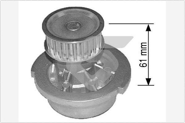 Hutchinson WP19 - Water Pump www.autospares.lv