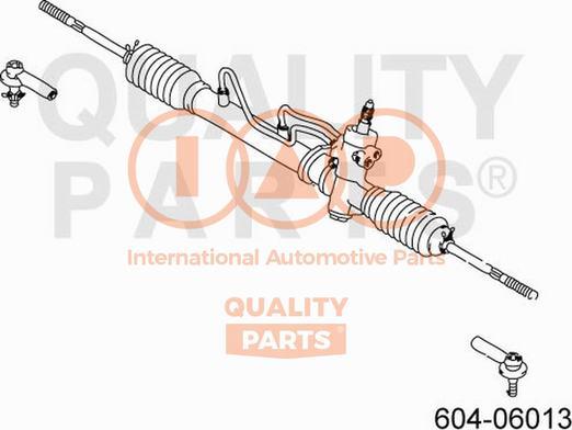 IAP QUALITY PARTS 604-06013 - Stūres šķērsstiepņa uzgalis www.autospares.lv