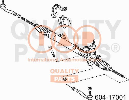 IAP QUALITY PARTS 604-17001 - Stūres šķērsstiepņa uzgalis autospares.lv