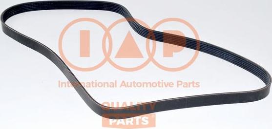 IAP QUALITY PARTS 140-14080 - Поликлиновой ремень www.autospares.lv