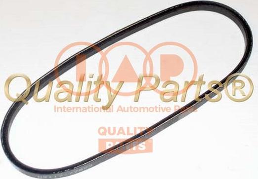 IAP QUALITY PARTS 140-13031 - Клиновой ремень, поперечные рёбра www.autospares.lv