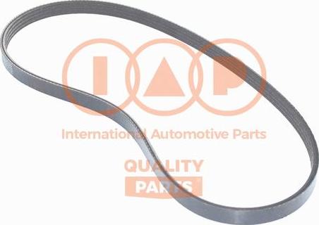 IAP QUALITY PARTS 140-13141 - Ķīļrievu siksna autospares.lv