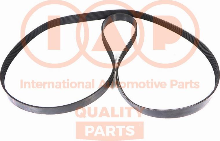 IAP QUALITY PARTS 140-17161 - Ķīļrievu siksna autospares.lv