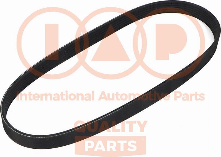 IAP QUALITY PARTS 140-17102 - Ķīļrievu siksna autospares.lv