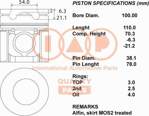 IAP QUALITY PARTS 100-13073 - Virzulis autospares.lv