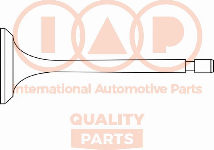 IAP QUALITY PARTS 110-14090 - Ieplūdes vārsts www.autospares.lv