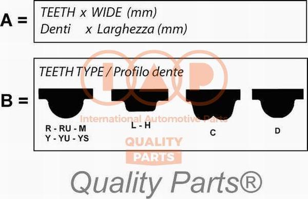 IAP QUALITY PARTS 128-20020G - Timing Belt www.autospares.lv