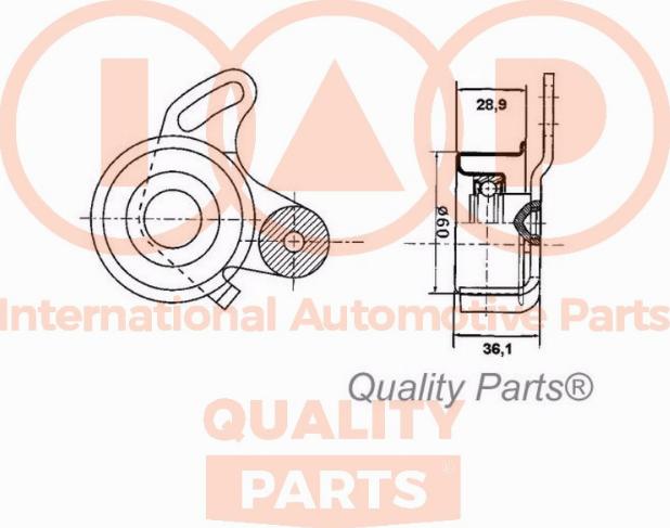 IAP QUALITY PARTS 12707040 - Spriegotājrullītis, Gāzu sadales mehānisma piedziņas siksna www.autospares.lv