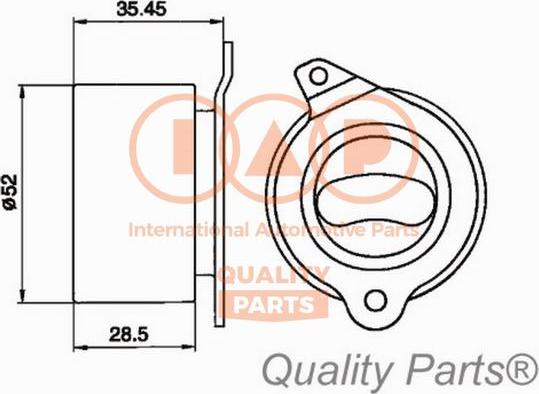 IAP QUALITY PARTS 12721020 - Spriegotājrullītis, Gāzu sadales mehānisma piedziņas siksna autospares.lv