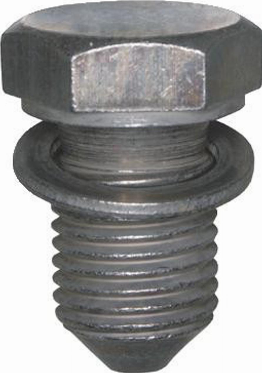 IMS 61044440 - Sealing Plug, oil sump www.autospares.lv