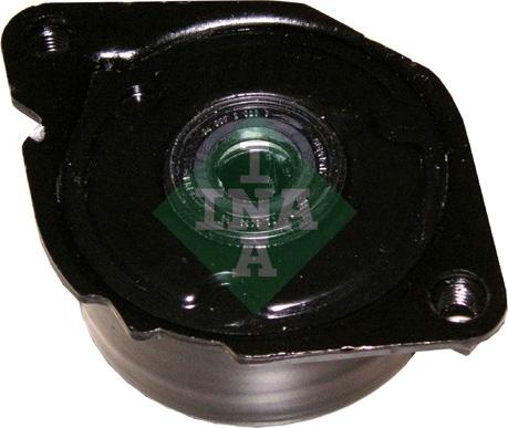 INA 534 0173 10 - Натяжитель, поликлиновый ремень www.autospares.lv