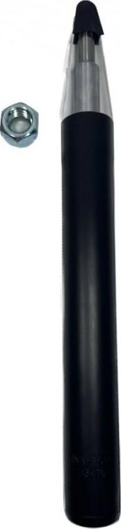 INA-FOR INF10.0030 - Shock Absorber www.autospares.lv