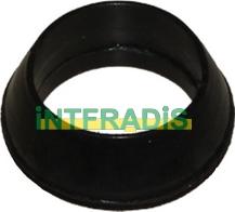 INTFRADIS 10600 - Blīve, Sprauslas korpuss www.autospares.lv